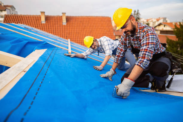 Best Gutter Installation and Roofing  in Glen Raven, NC